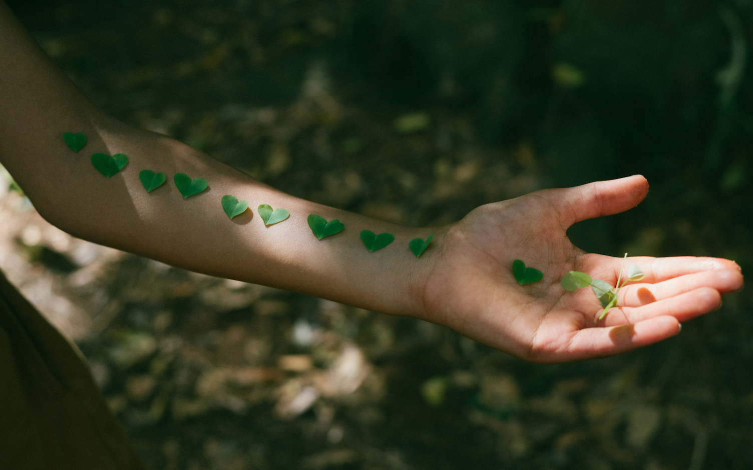 Poznaj ważne pojęcia z zakresu zrównoważonego rozwoju, by lepiej rozumieć ten temat.
